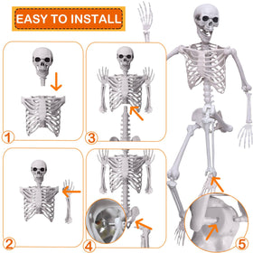 Wocst skeleton with skull hook for easy hanging and suspended scenes.