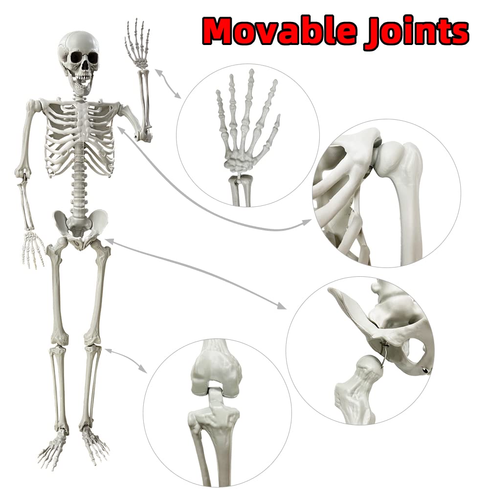 Wocst life-size skeleton displayed indoors for haunted rooms and parties.