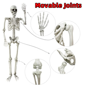 Wocst life-size skeleton displayed indoors for haunted rooms and parties.