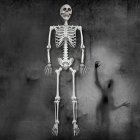 Wocst skeleton easy to store after use for next season.