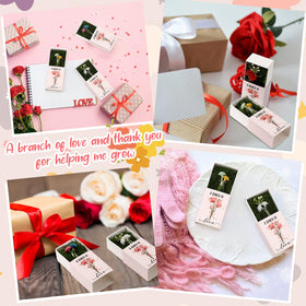 Wonderjune end-of-year gift bulk pack ideal for teacher and coworker appreciation