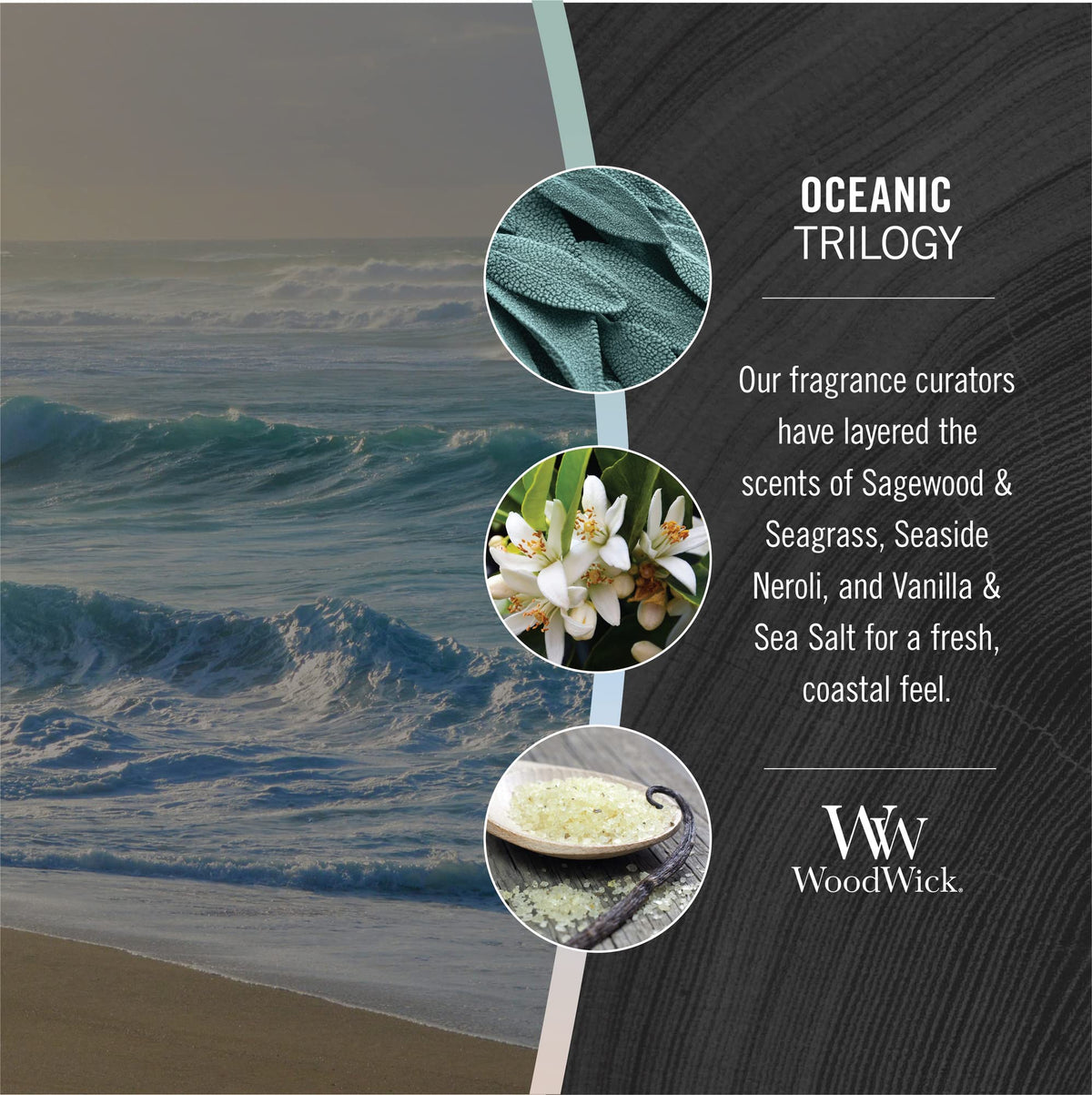 WoodWick Oceanic Trilogy wax blend delivers a smooth burn and scent evolution.