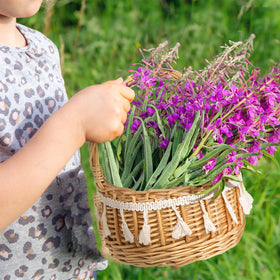WRINGKIT versatile use for weddings, gifts, or garden decor.