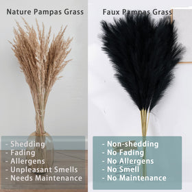Wttisel pampas grass closeup fluff shows soft texture for stylish decor.