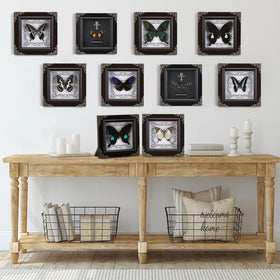 WTUAWB Gift-ready butterfly decor ideal for thoughtful occasions