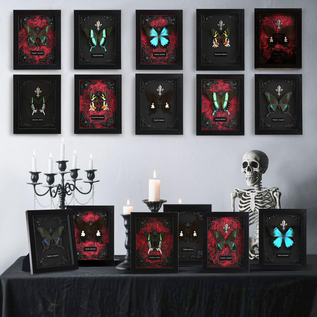 WTUAWB long-lasting preservation butterfly art for elegant spaces