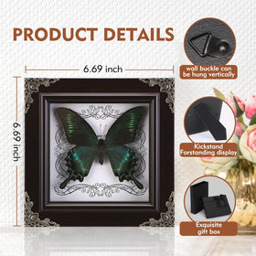 WTUAWB Sturdy MDF frame protects fragile specimens and reduces damage risk