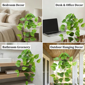 WucaFl shelf display of pothos for tidy, green accents