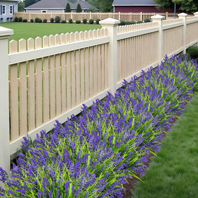 WucaFl low-maintenance greenery suitable for indoor and outdoor spaces.