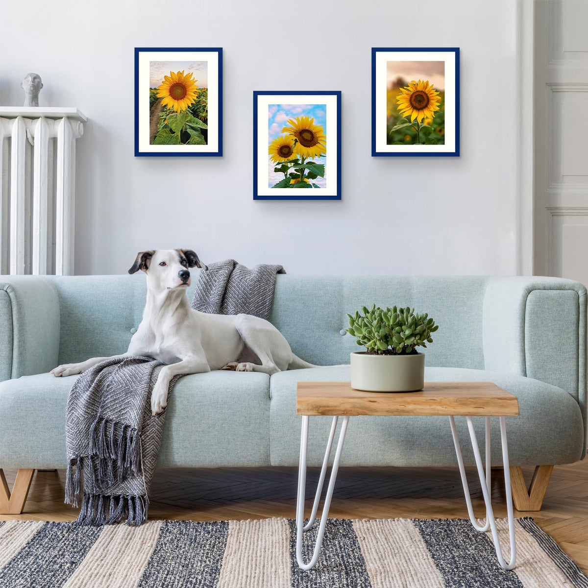 Wyooxoo wall-mount option enables versatile horizontal or vertical hanging