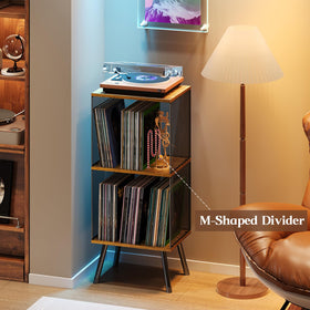 X-cosrack adjustable divider demonstrates organized storage for up to 200 albums.