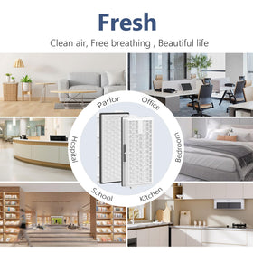 XBWW Sealed packaging maintains freshness and protection.