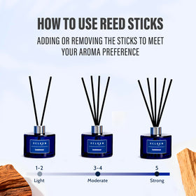 Xcleen Reed Diffuser packaging showcases gift-ready presentation