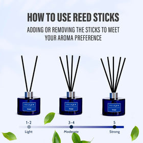 Xcleen diffuser sticks included for steady fragrance release