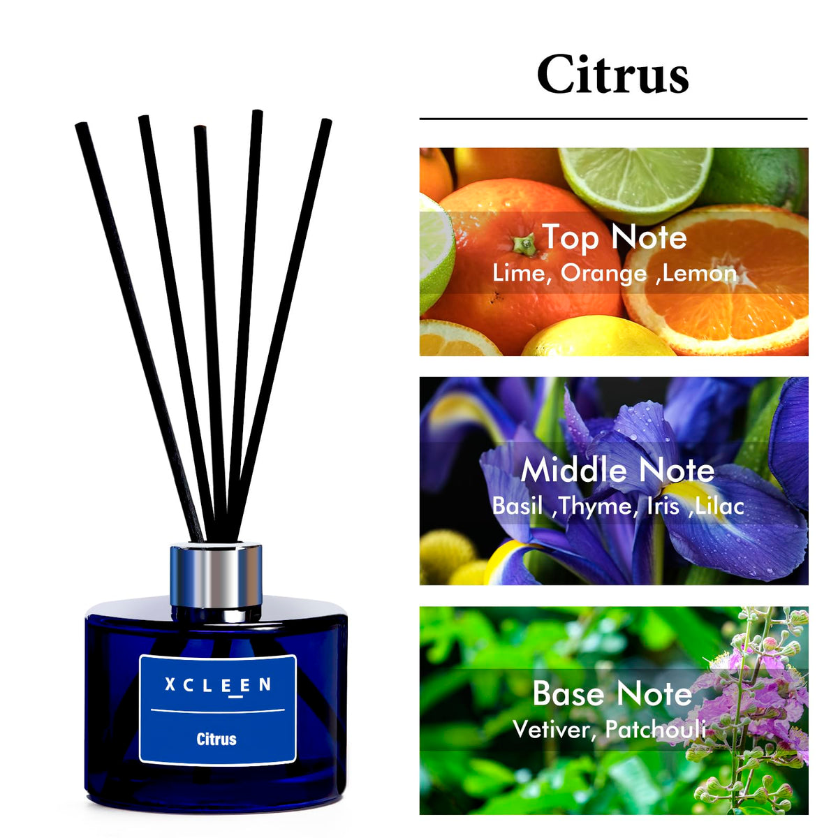 Xcleen Reed Diffusers fiber sticks arrangement for steady diffusion.