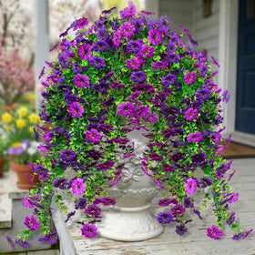 Ximiloor daisy with eucalyptus trailing bundle brightens porches with year-round color.