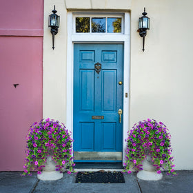 Ximiloor patio daisy decor elevates entryways with vibrant color.