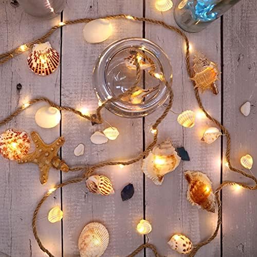 XIWU low voltage LED seashell lights for safe daily use indoors