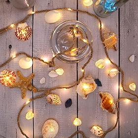 XIWU low voltage LED seashell lights for safe daily use indoors