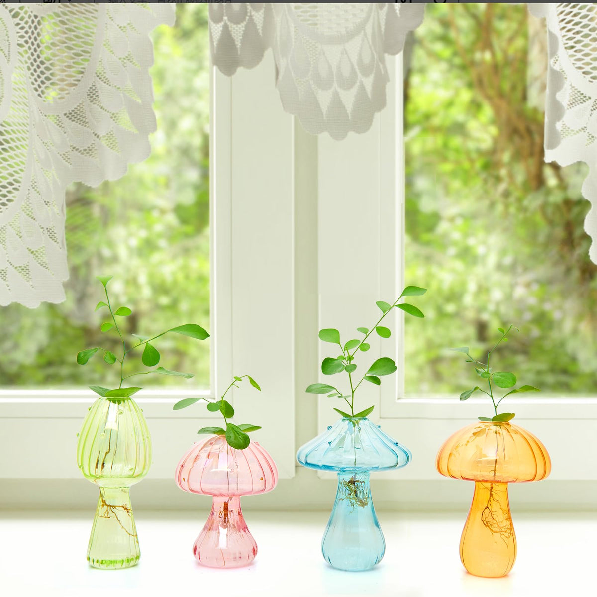 XXXFLOWER orange glass mushroom propagation jar for plant cuttings