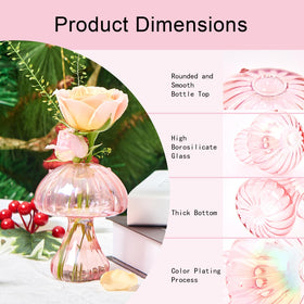 XXXFLOWER propagation station adds modern office decor