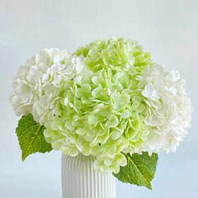 YalzoneMet hydrangeas ideal for home, weddings, and seasonal decorations.