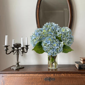 YalzoneMet hydrangea leaves detail highlighting natural texture.
