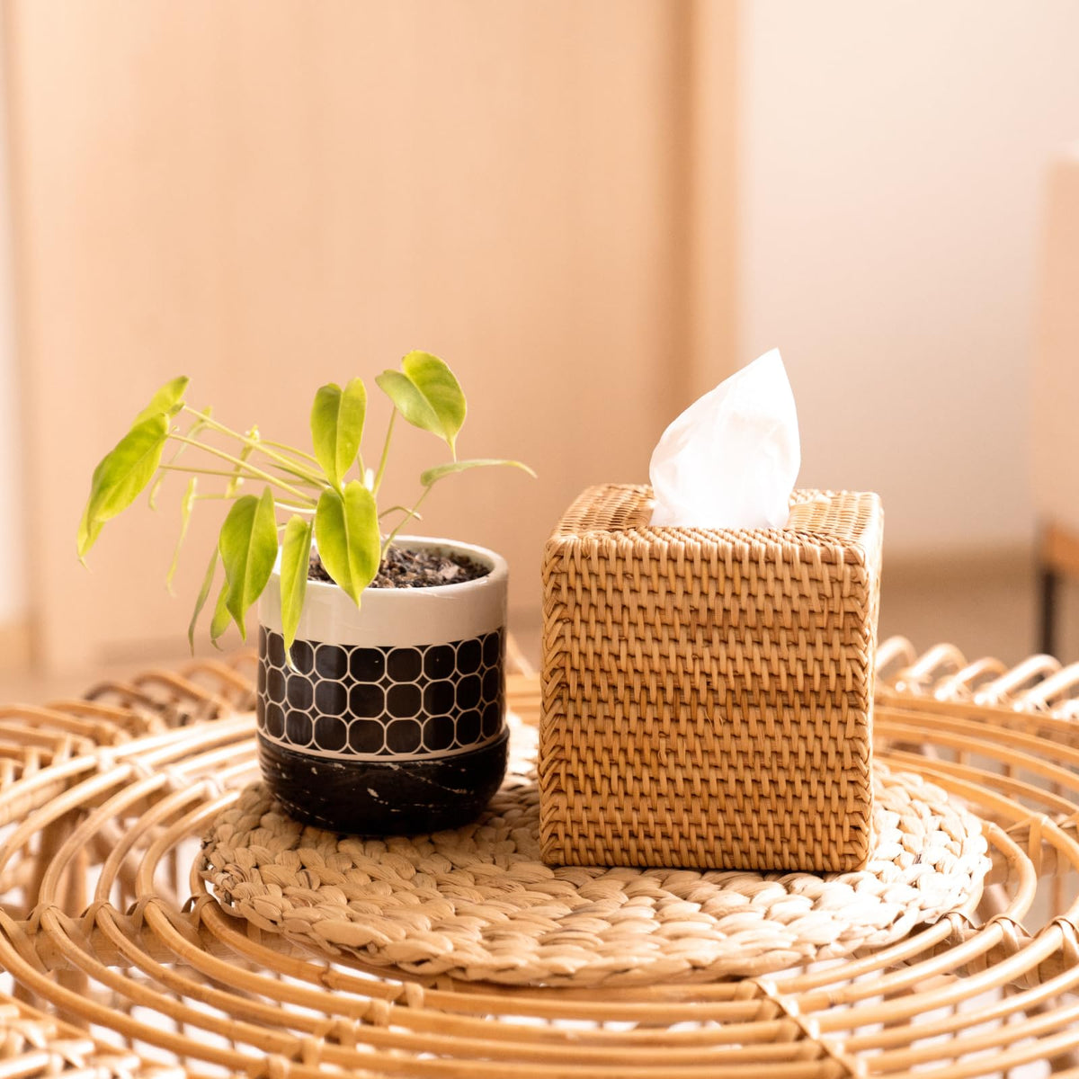YANGQIHOME front-view rattan cover adds natural warmth to any room.