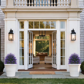Yangrass 24in lavender topiary pair, ideal for balcony styling and low maintenance
