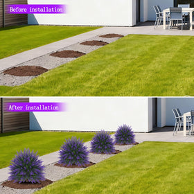 Indoor use: Yangrass topiary set brightening a windowsill or living area