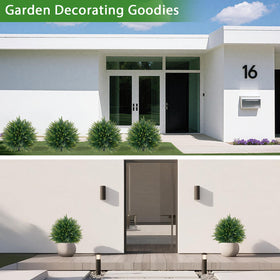 Yangrass backyard topiary for enhanced lawn and garden aesthetics