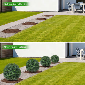 Yangrass packaging compression note; foliage can be fluffed to restore fullness.