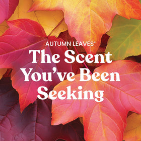 Yankee Candle Autumn Leaves label close-up, premium wax blend promises cleaner, longer burns.