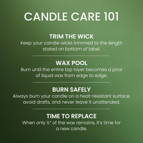 Yankee Candle Balsam and Cedar woodsy scent with amber notes for warmth.