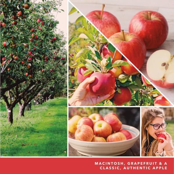 Yankee Candle pack of 3 ensures fragrance across rooms.