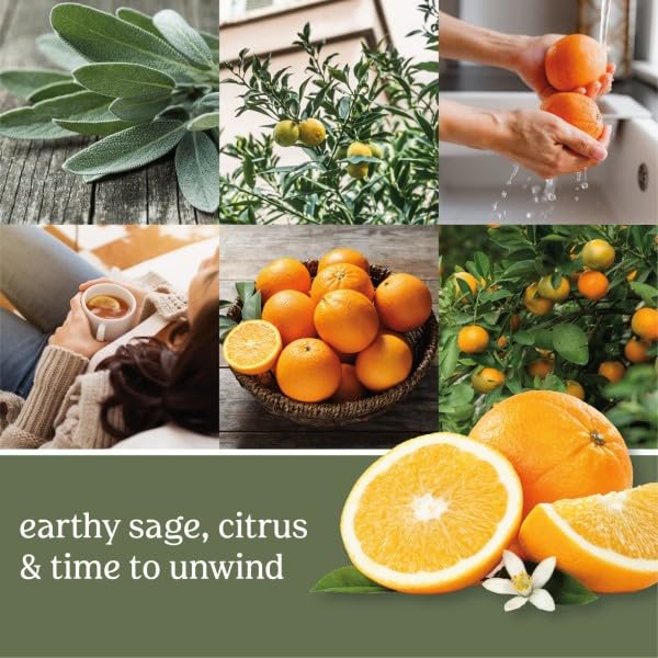 Yankee Candle room ambiance shot shows Sage & Citrus filling the space with freshness