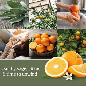 Yankee Candle room ambiance shot shows Sage & Citrus filling the space with freshness