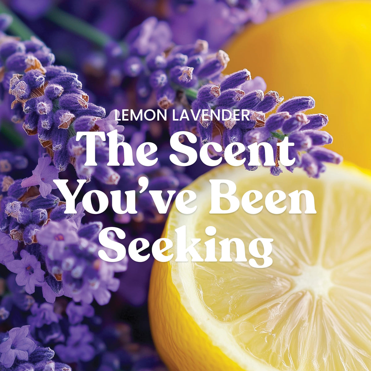 Lemon Lavender packaging lid shown, protecting wax between uses