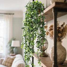 Yarmare maintenance-free greenery; no watering or sunlight required.