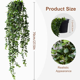 Yarmare trailing foliage reaching 27 inches enhances vertical styling.