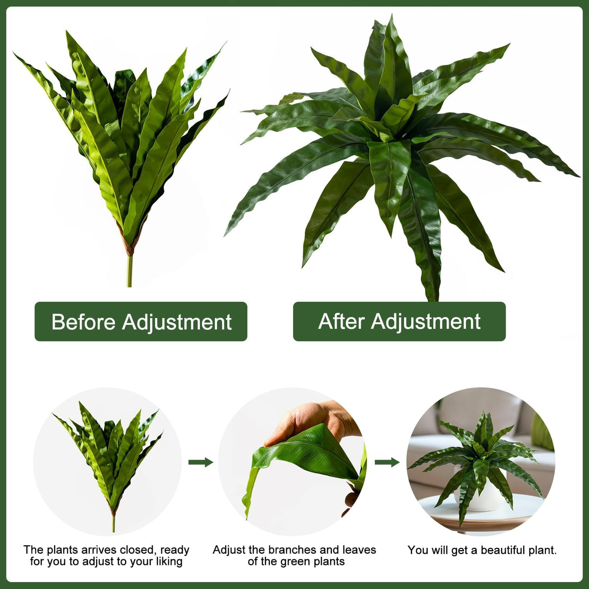 Yarmare bird nest fern branches ideal near entryways and desks.