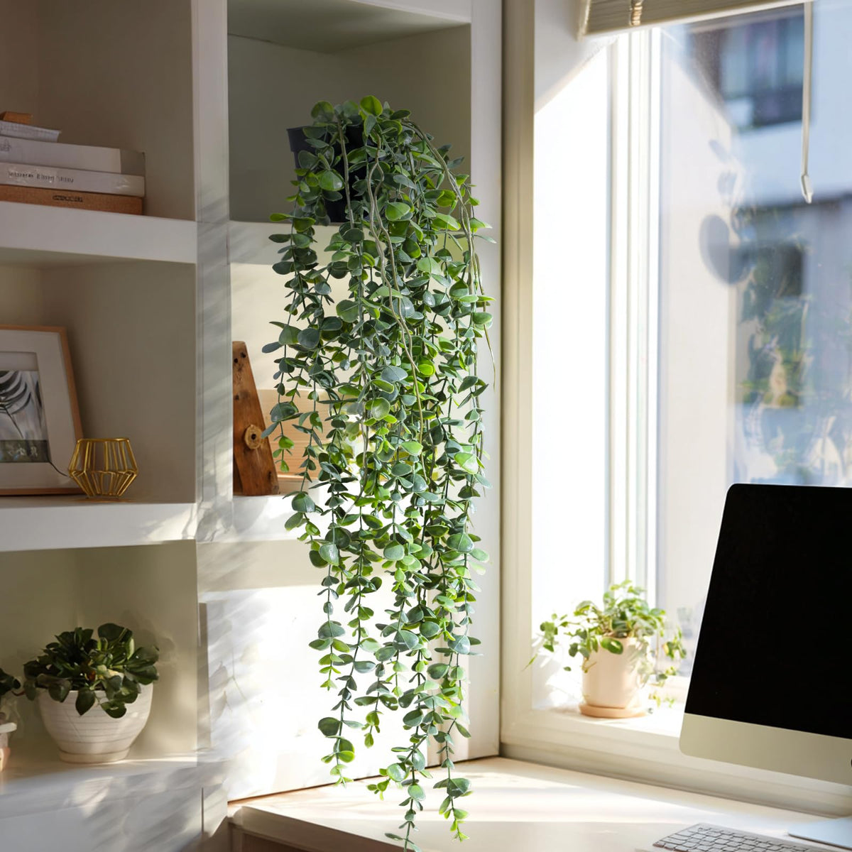 Yarmare hanging greenery decor suitable for living rooms and offices.