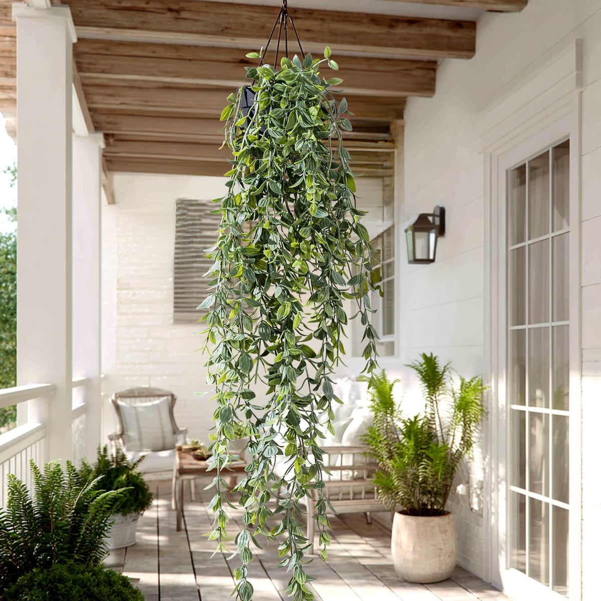 Yarmare hanging plants showcased on shelves and dining areas for color.