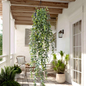 Yarmare hanging plants showcased on shelves and dining areas for color.