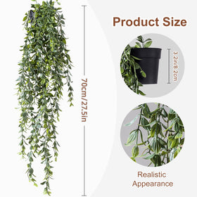 Yarmare ivy vine close-up highlights realistic texture and natural sheen.