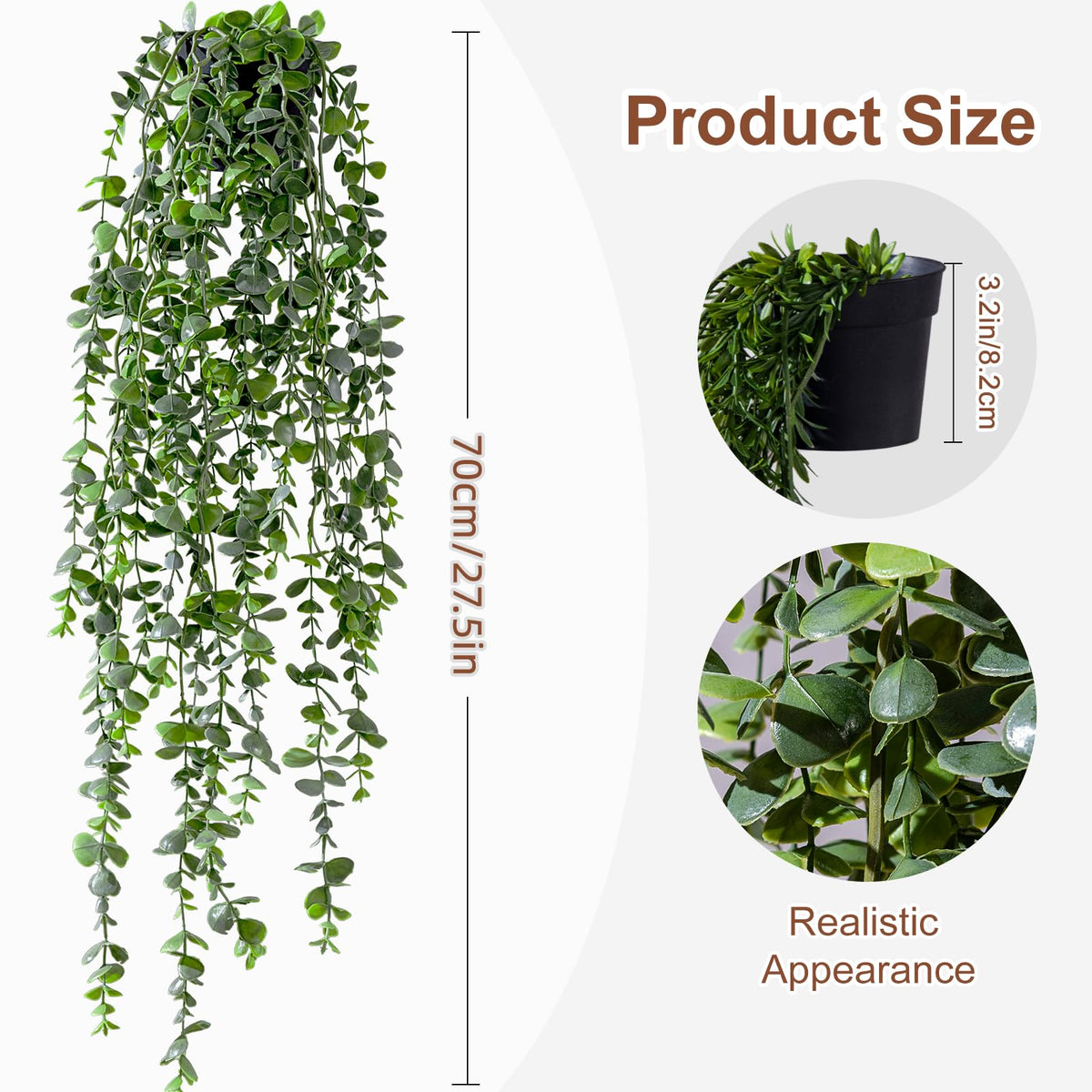 Yarmare ivy vine trails gracefully, bringing natural texture to walls.