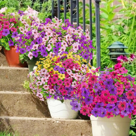 Yastouay 12 Bundles UV resistant petals keep colors vibrant in sun.