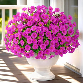 Yastouay 26-stem outdoor flowers pack for vibrant garden displays