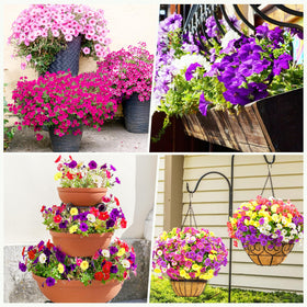 Yastouay artificial flowers provide year-round color without seasonal upkeep.