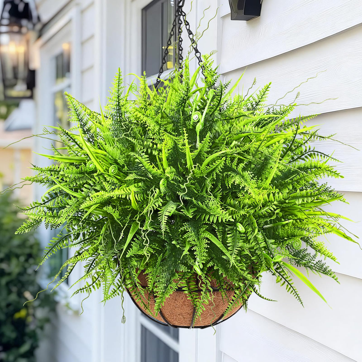 Close-up of Yastouay fern leaves highlights lifelike texture and natural color.